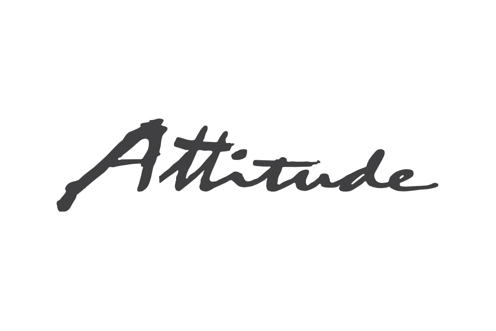 Attitude