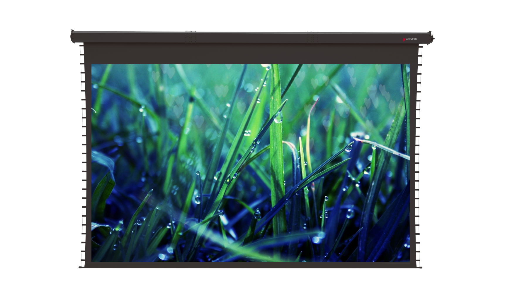 ViewScreen Regal (16:10) 554*376 (538*336) PW, black casing  (с пультом)