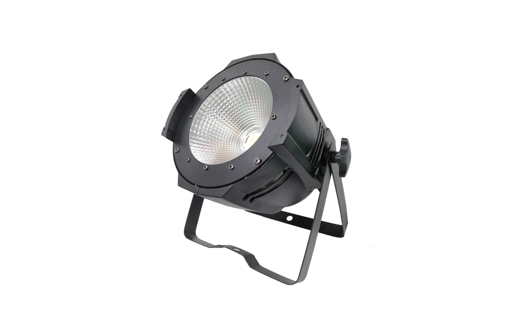 Bristage PAR100T