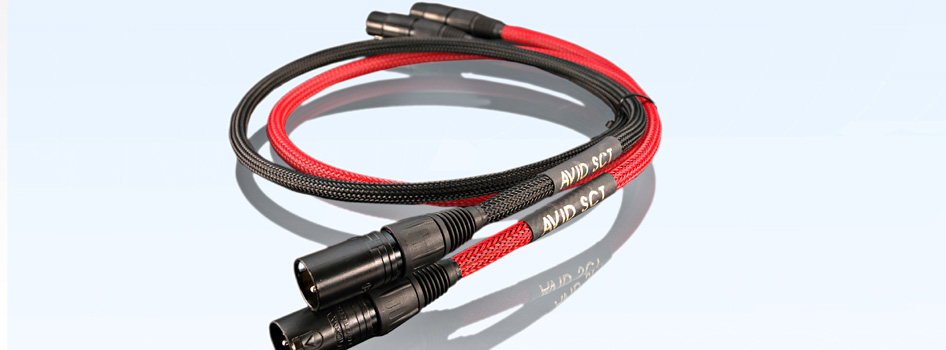 AVID SCT Reference RCA Interconnect 1M