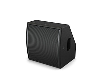 Bose AMM108 Multipurpose Loudspeaker, Черный