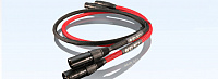 AVID SCT Reference RCA Interconnect 1M